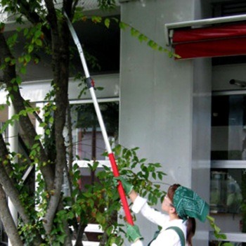 a good manual pole saw