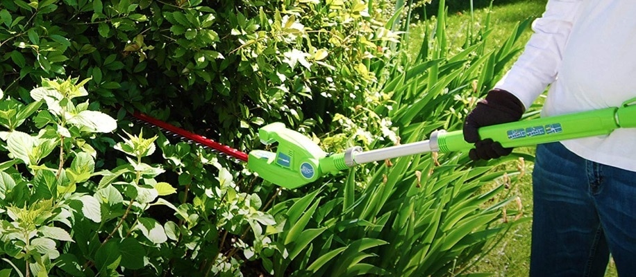a pole hedge trimmer
