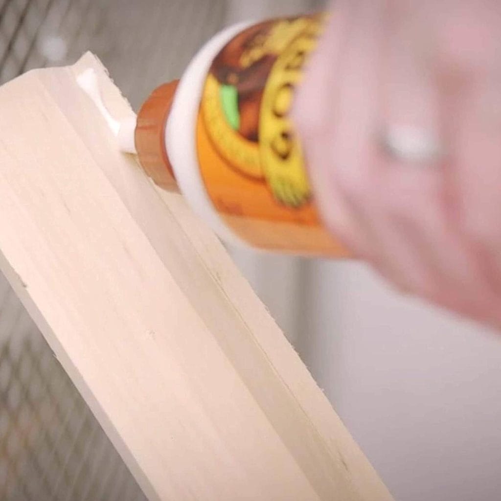 applying Gorilla 6200022 Wood Glue