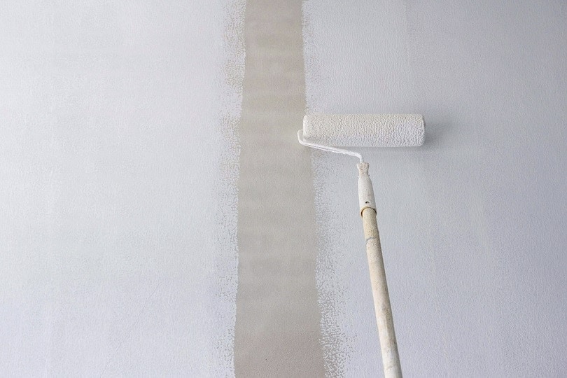 applying primer white paint_Prapat Aowsakorn_shutterstock