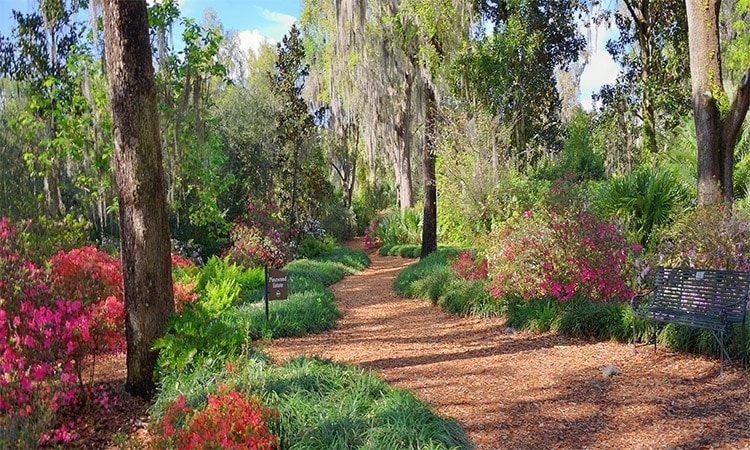 beautiful garden