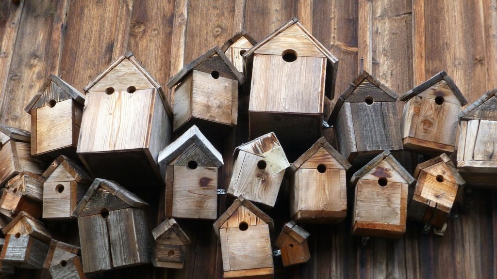 bird feeders