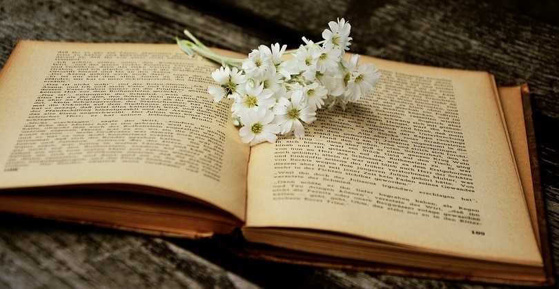 book-pixabay