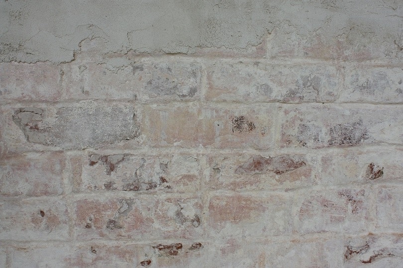 brick-pixabay