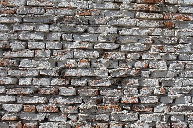 brick-wall-pixabay