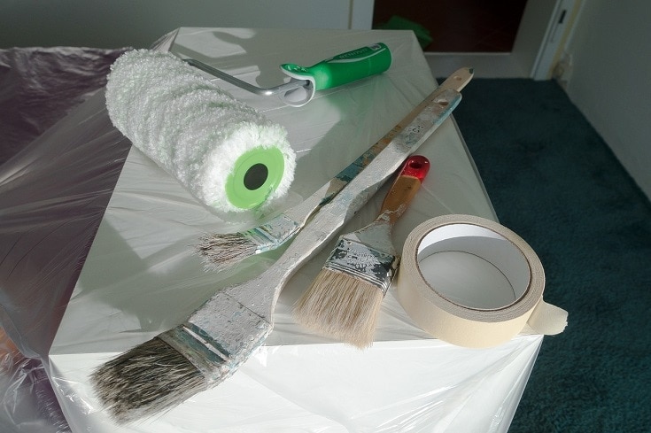 brush for painting