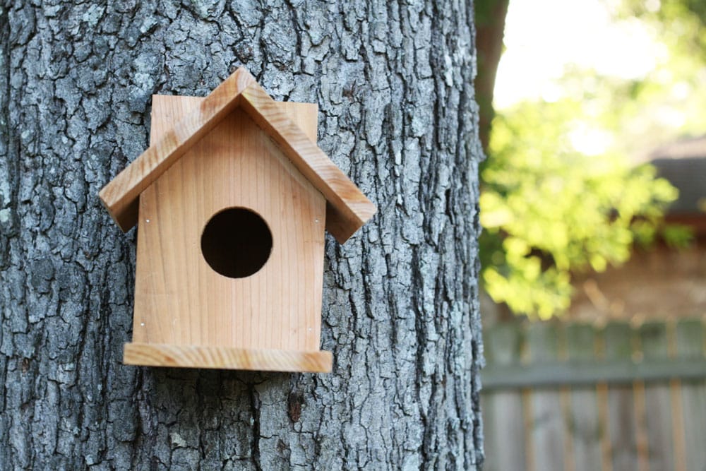 cedar birdhouse plans