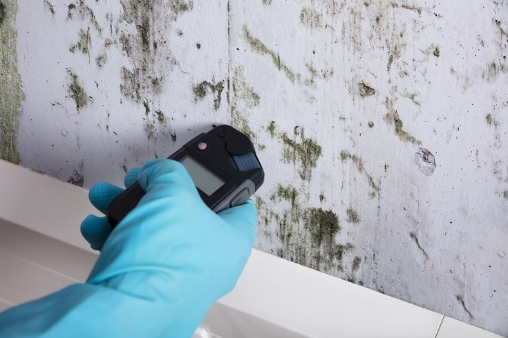 checking for molds