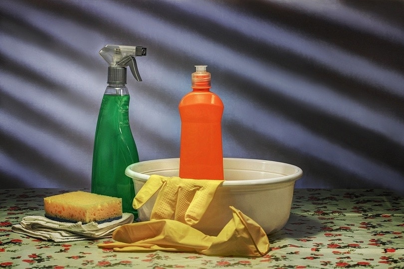 cleaning-pixabay (2)