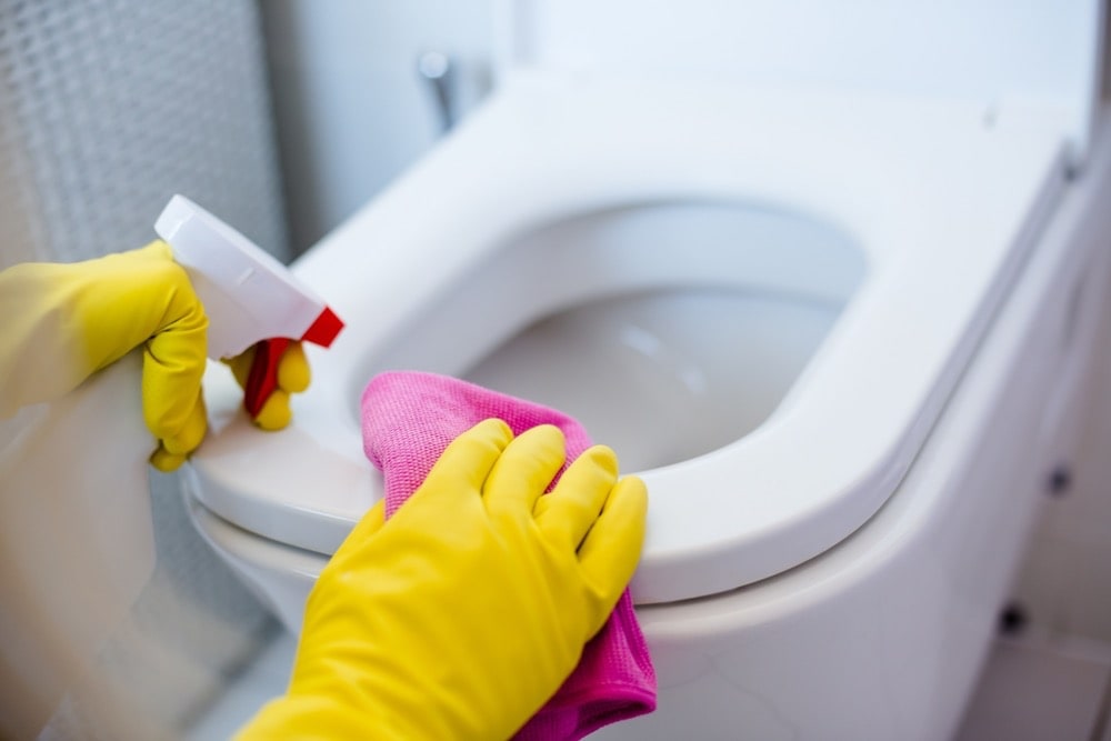 cleaning toilet seat