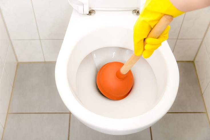 clogged toilet_Shutterstock_Thomas von Stetten