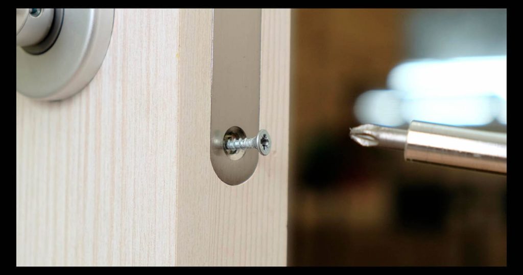 close up screw and screwdriver