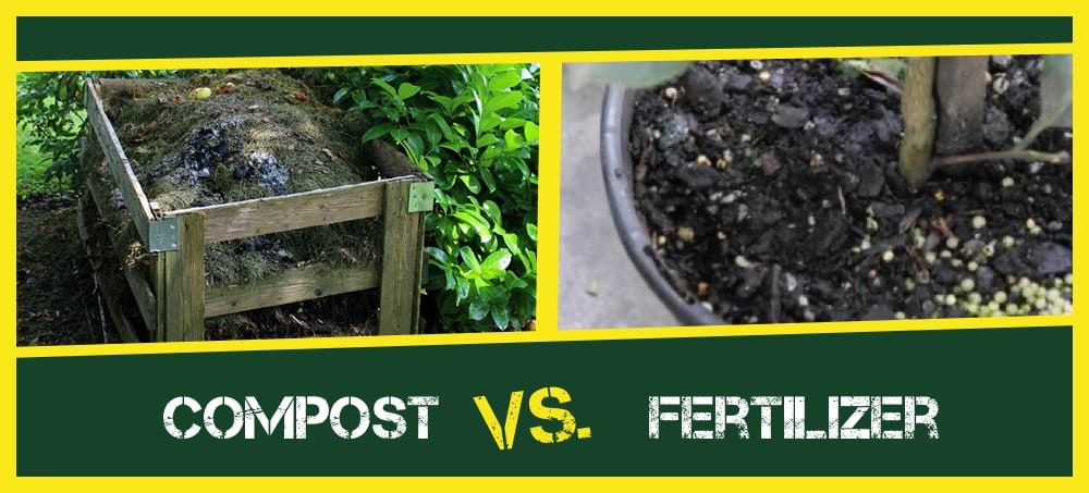 compost vs fertilizer