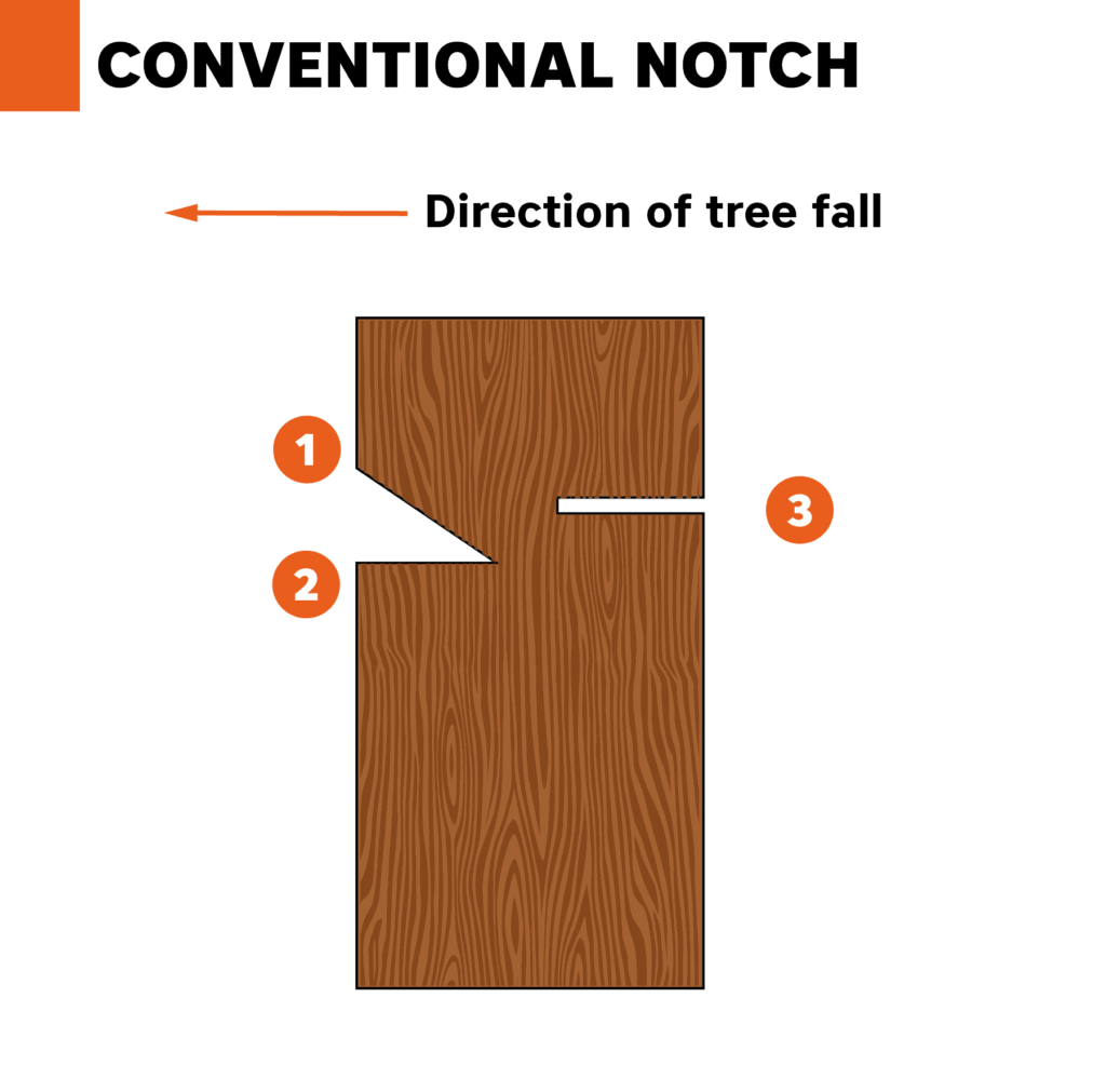 conventional notch