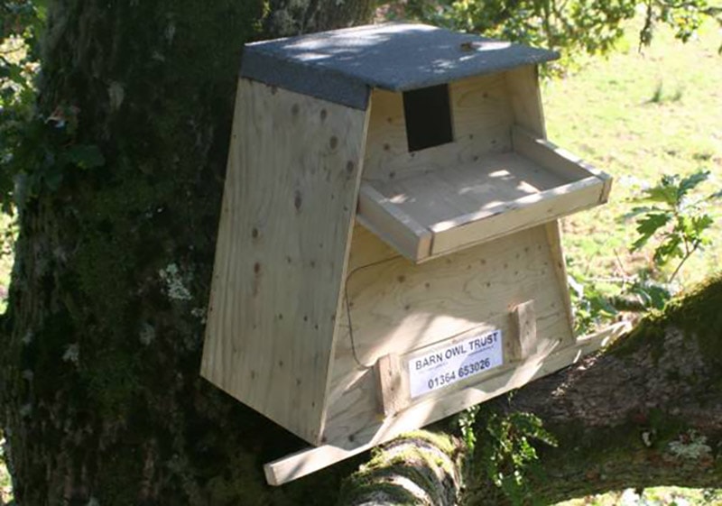 diy barn owl nestbox