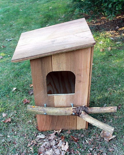 diy barred owl nest box