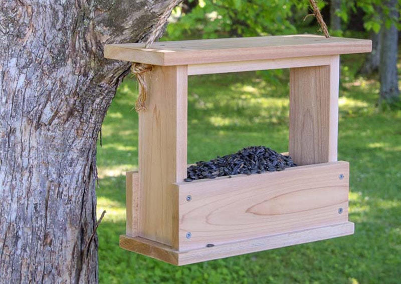 diy bird feeder