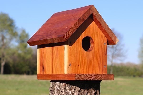 diy birdhouse plans