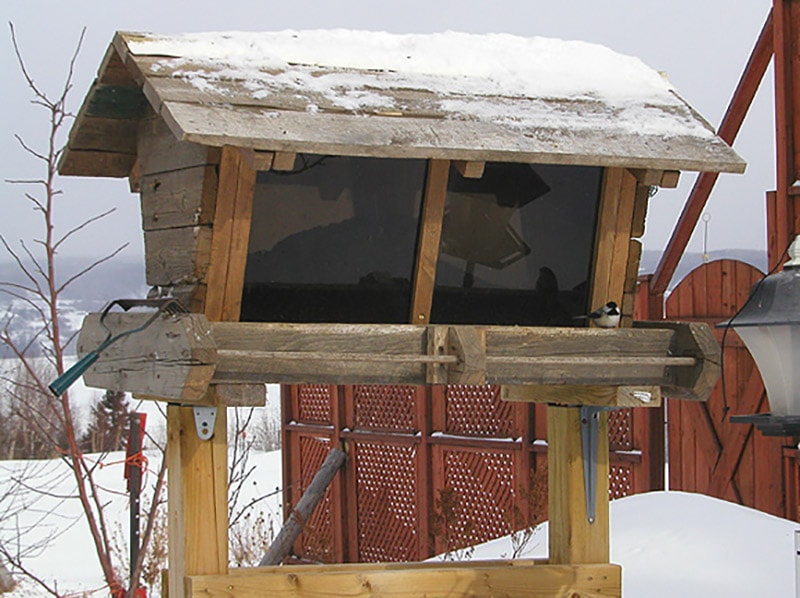 diy large bird feeder
