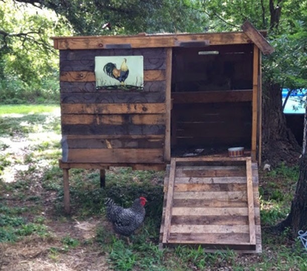 diy pallet chicken coop