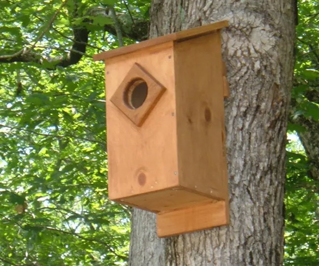 diy screech owl house