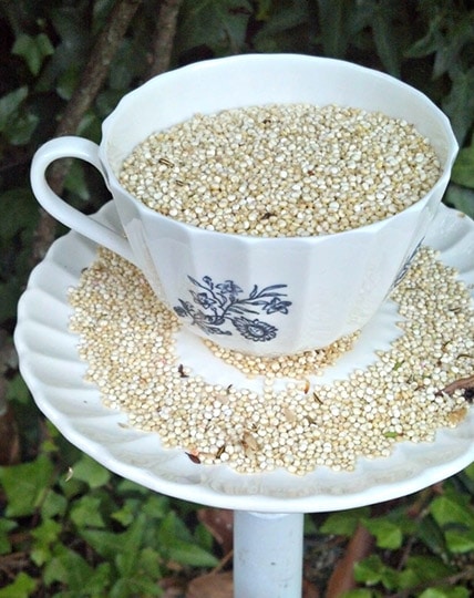 diy teacup bird feeder