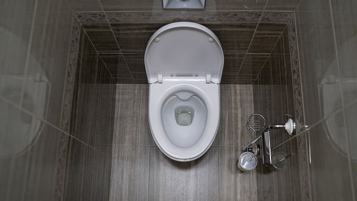 elongated toilet seat_shutterstock_Sidorov_Ruslan
