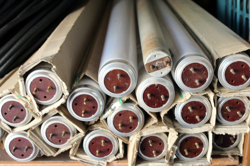 fluorescent lamps