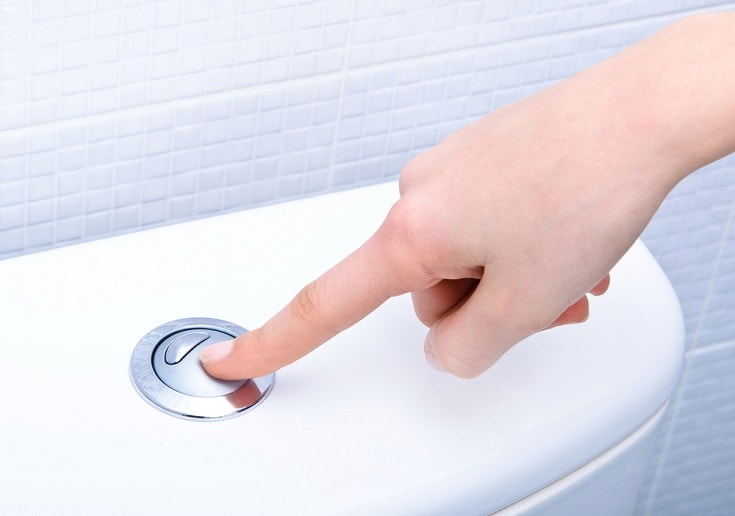 flushing toilet