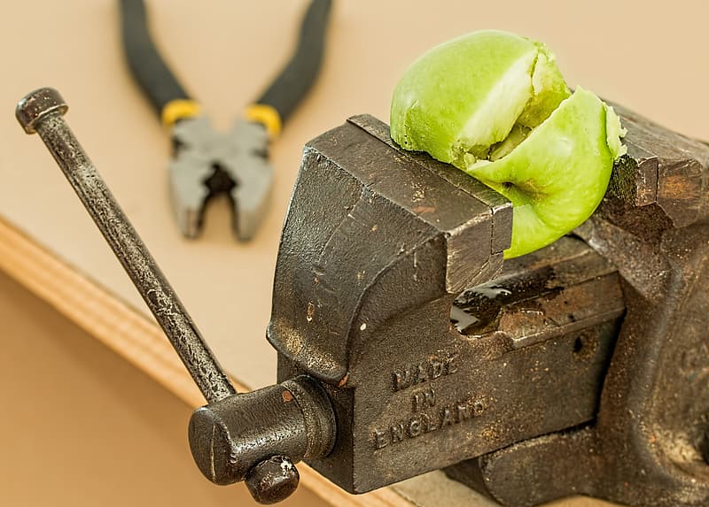 fruit on bench vise