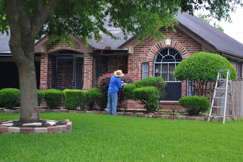 gardener trimming