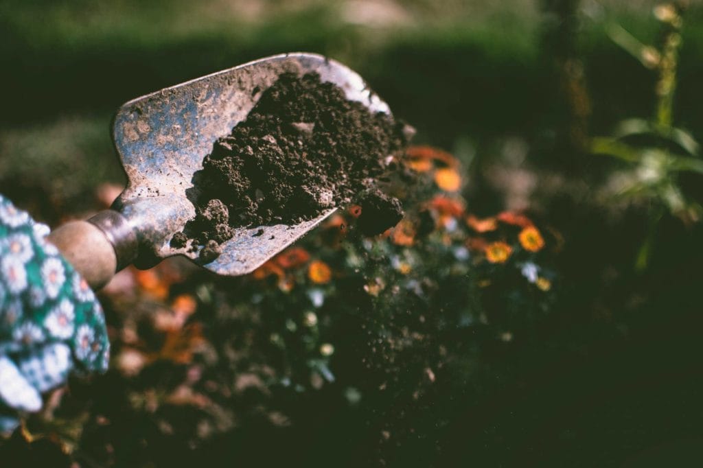 gardening shovel