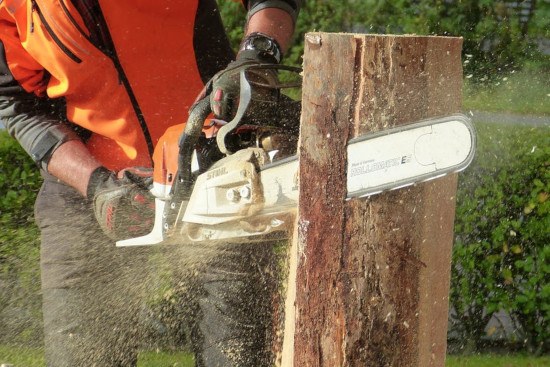 gas chainsaw
