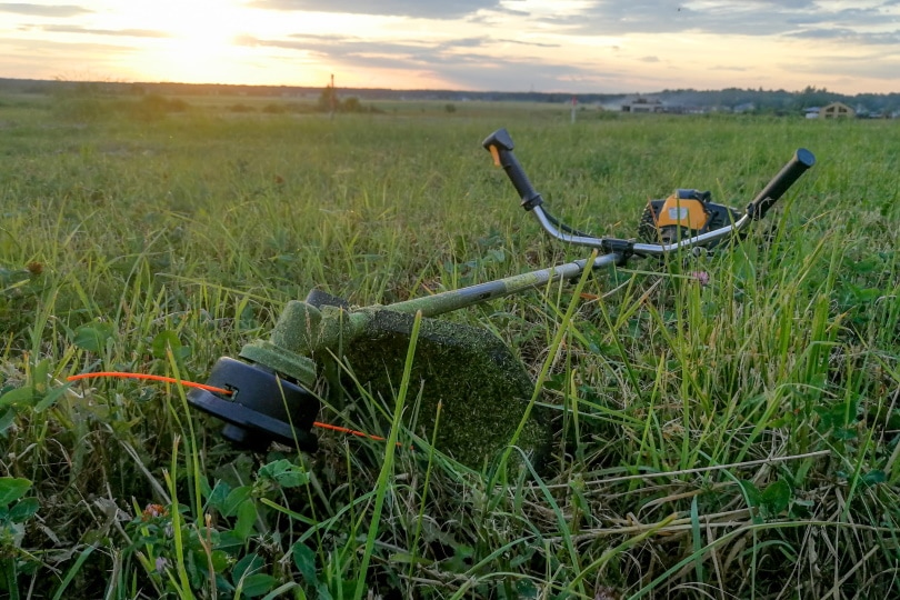 grass trimmer