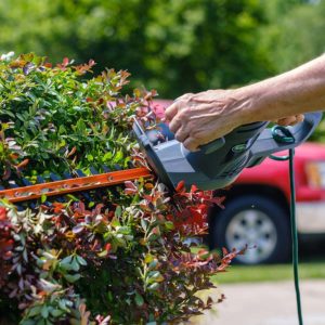 hand holding Scotts Outdoor Power Tools HT10020S Hedge Trimmer