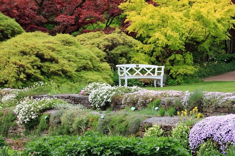 hedges park-pixabay