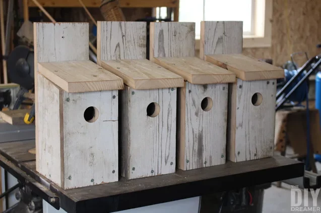 how to build Bluebird bird houses