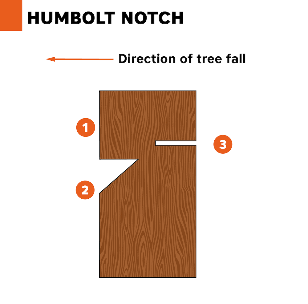 humbolt notch