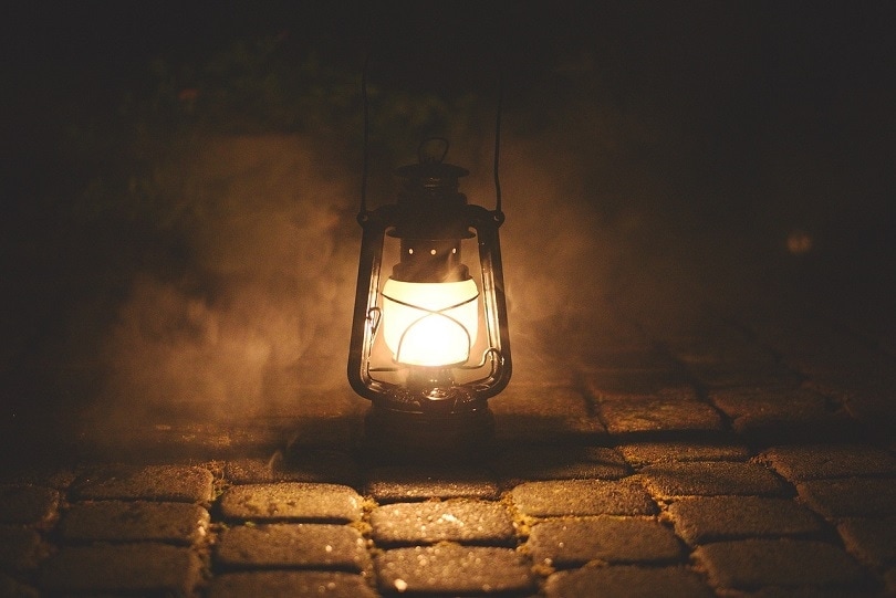 lamp-pixabay