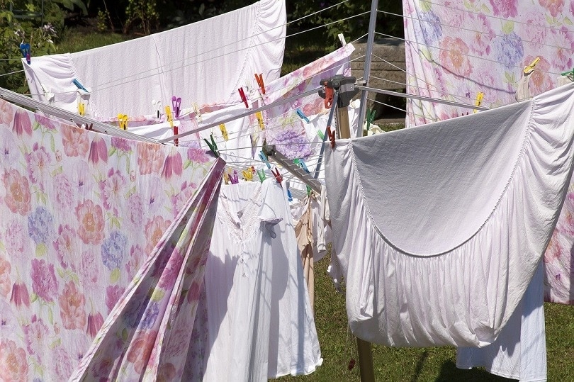 laundry-pixabay