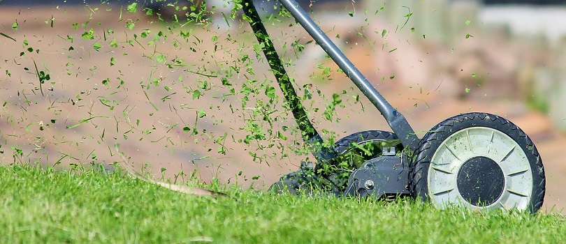 lawn-mower-pixabay