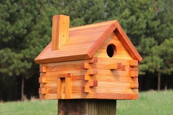 log cabin bird house plans