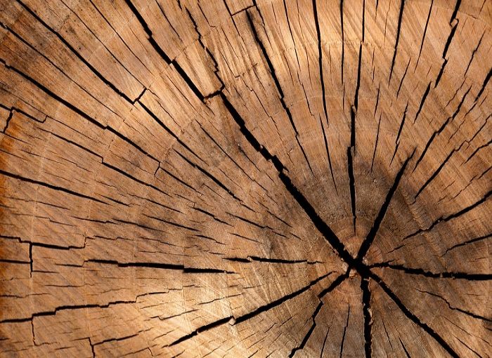 lumber-111
