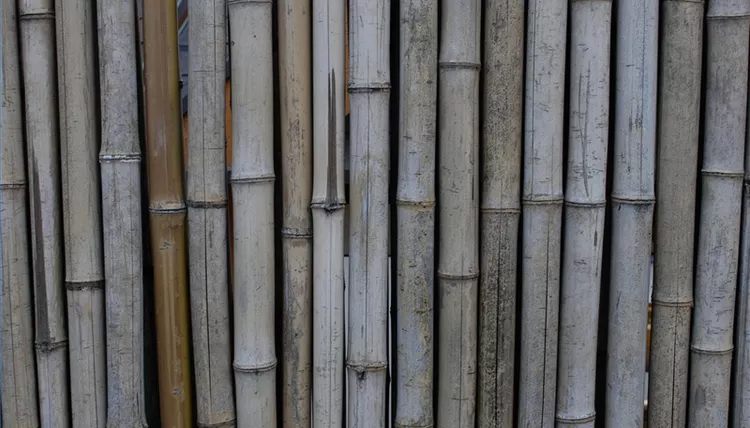 make bamboo fencing