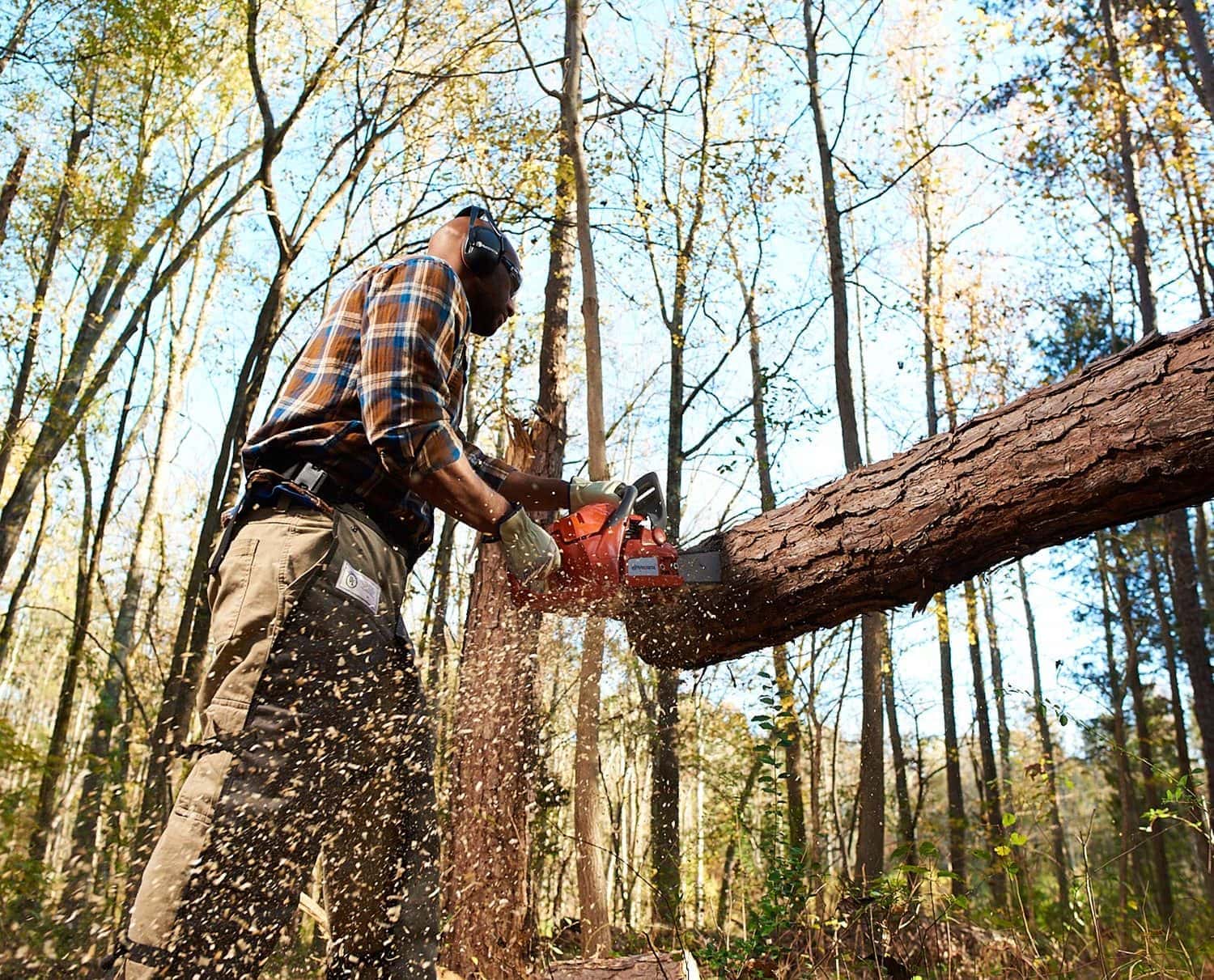 man using Husqvarna 20 Inch 460 Rancher Gas Chainsaw