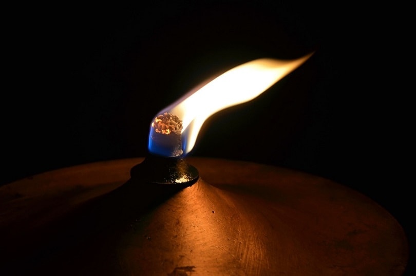 oil-lamp-pixabay3