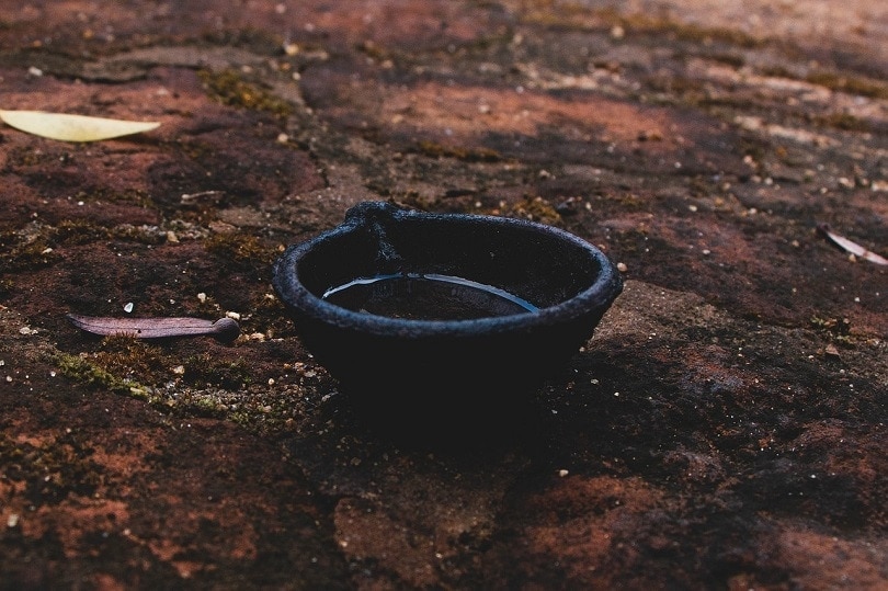 oil-lamp-pixabay4