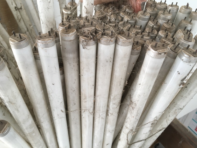 old fluorescent tubes