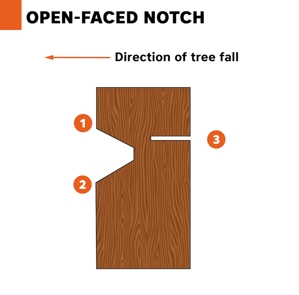 open-faced notch