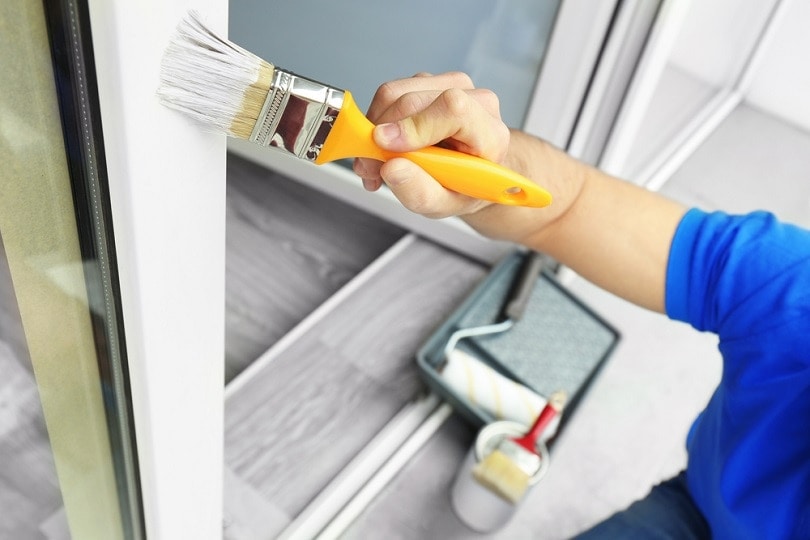 painting window_Africa studio_shutterstock